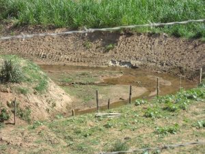 Leia mais sobre o artigo Baixo nível do Rio Macuco assusta moradores de Cordeiro