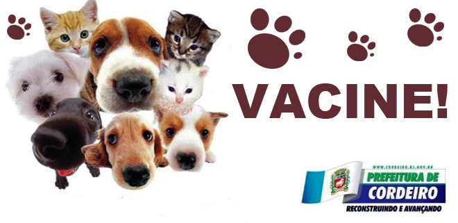 Você está visualizando atualmente Vacinação contra raiva animal começa no dia 16 na zona rural de Cordeiro