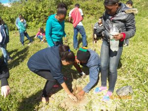 Leia mais sobre o artigo Alunos e escoteiros participam de ações ambientais em Cordeiro