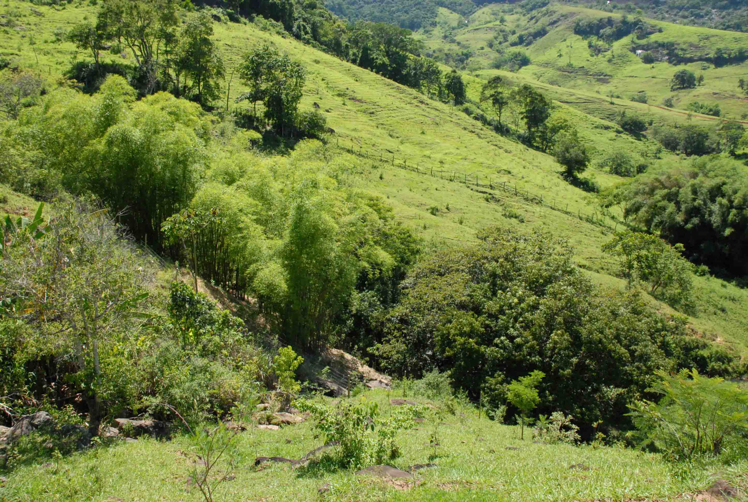 Você está visualizando atualmente Rio Rural alcança a meta de 2.016 nascentes protegidas