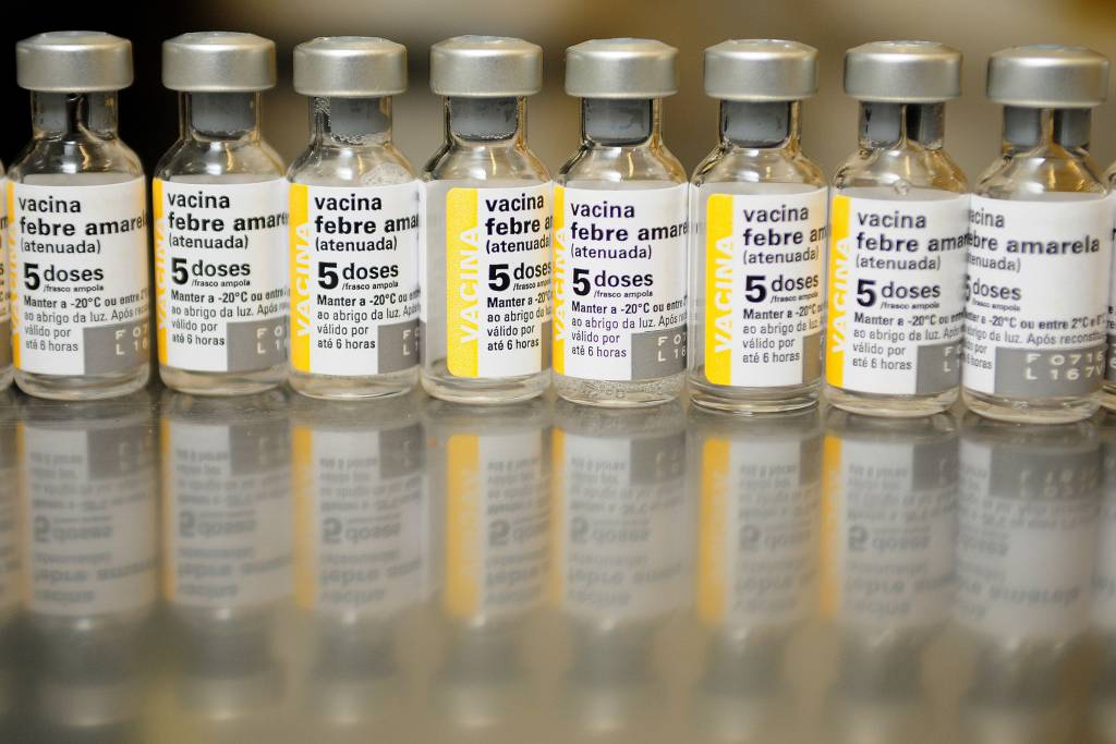 Você está visualizando atualmente RJ receberá do Ministério da Saúde novas doses de vacina contra febre amarela para reposição nos municípios prioritários
