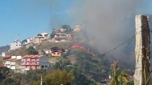 Leia mais sobre o artigo Incêndios em vegetação atingem quatro cidades da Serra