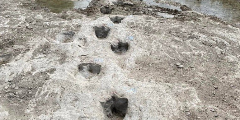 Você está visualizando atualmente Pegadas gigantes de dinossauro são reveladas após seca em rio nos EUA